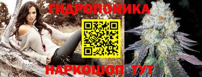 ПСИЛОЦИБИНОВЫЕ ГРИБЫ Славгород