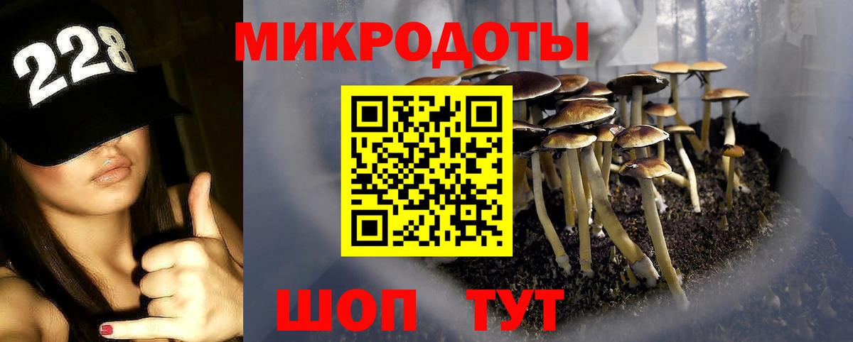 Галлюциногенные грибы Magic Shrooms  Вход с VPN  Алексин 